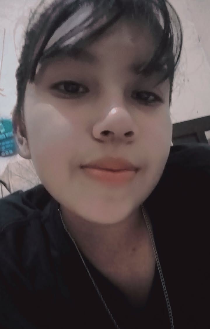 DIANA VILLARROEL PEÑA