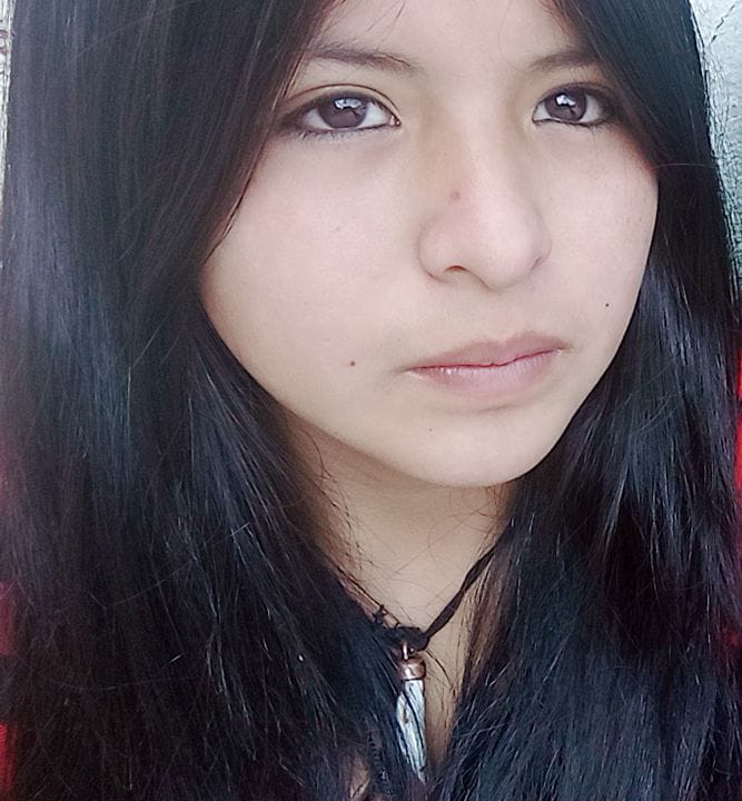 BRISA SLIM QUISPE FERNANDEZ