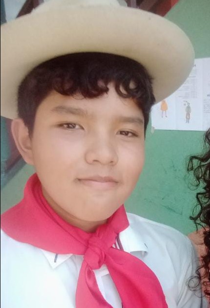 GEITS    CHARLES ROMERO REVOLLO