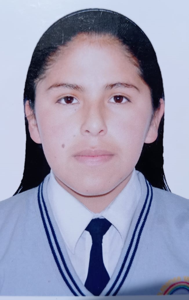 ANALY MILAGROS ALAJURCO YUPANQUI