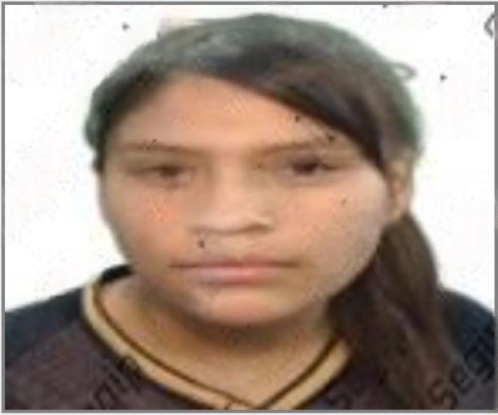 Jhoselin Mamani Vallejos