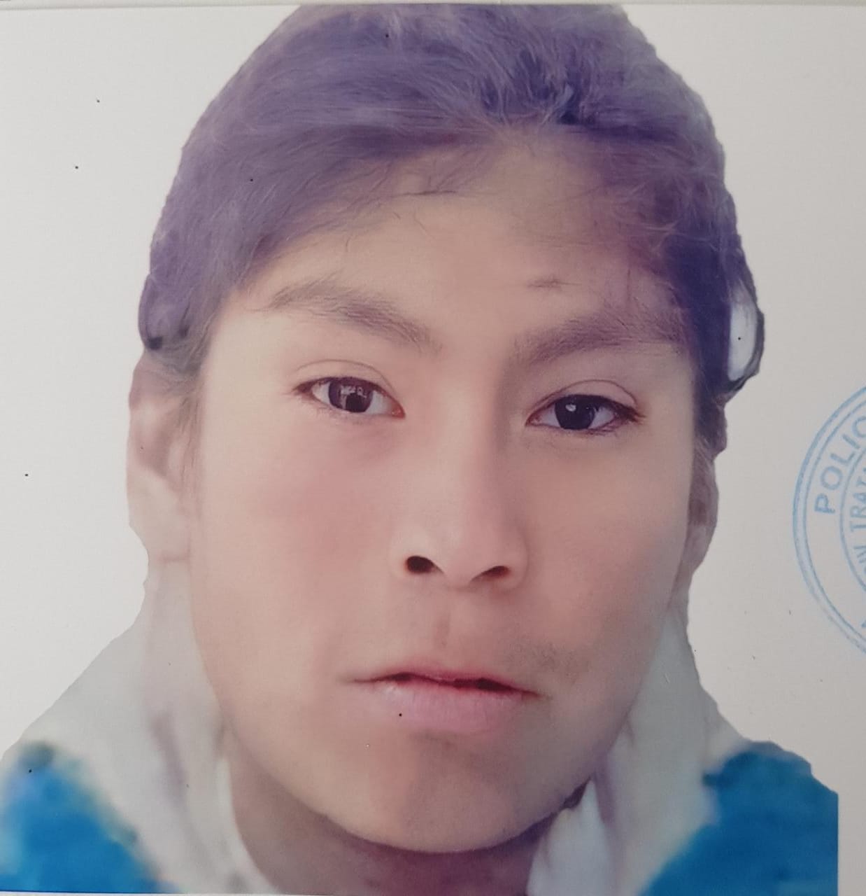 BRENDA ERIKA ALANOCA CASTRO