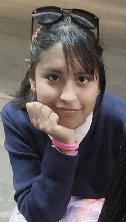MICHELY SILES FLORES