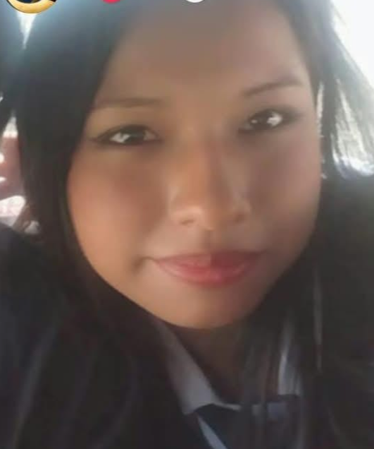 ARELY CRUZ MAMANI
