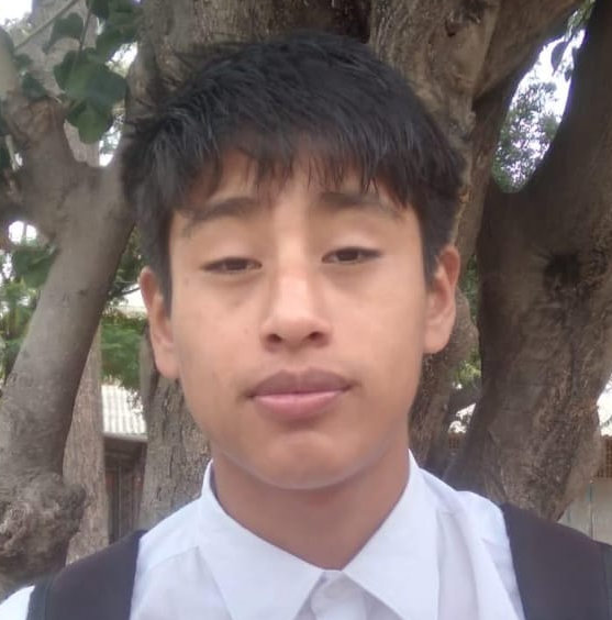 BISMAR TARQUI MAMANI
