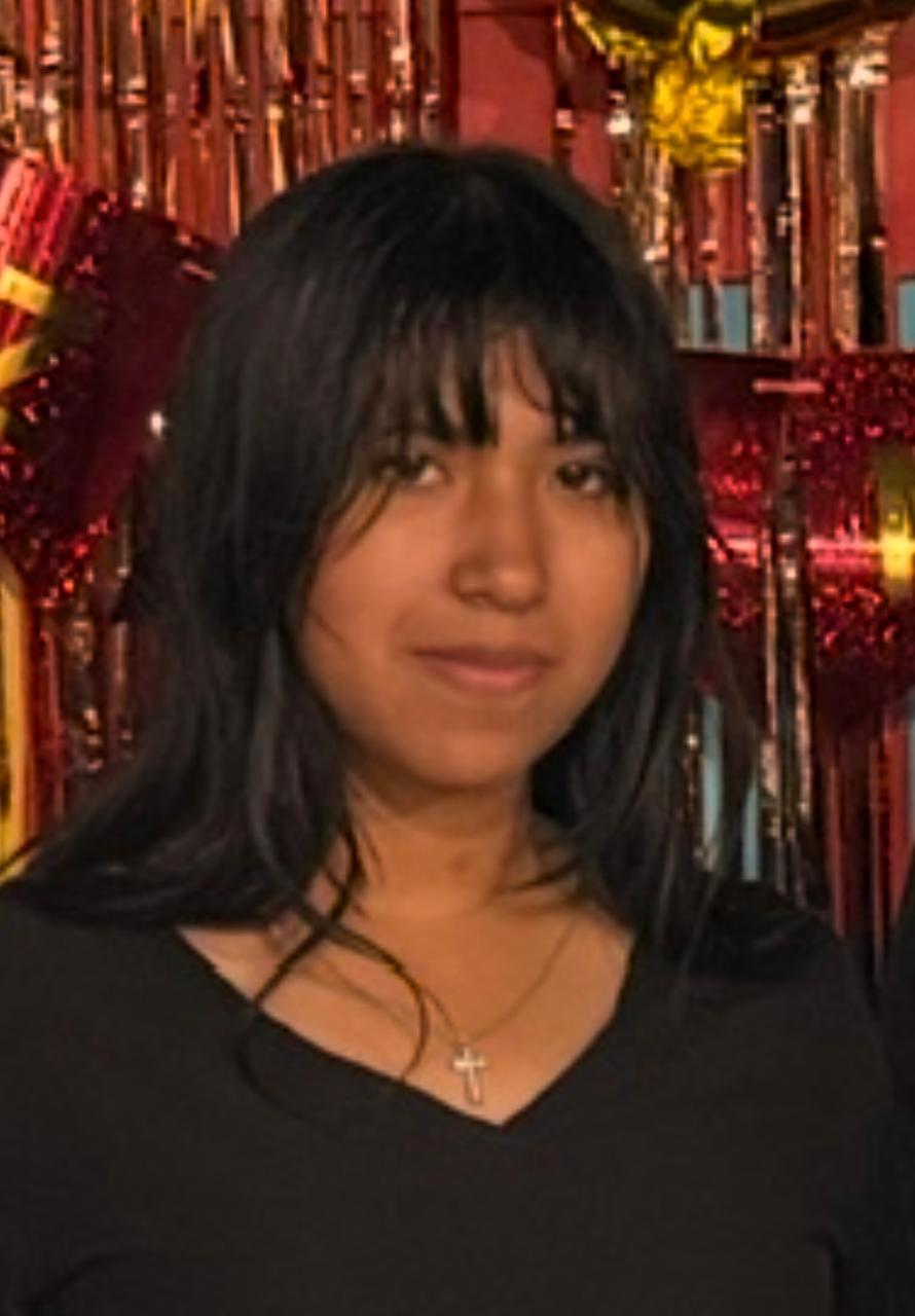 Minerva Rocha Toco