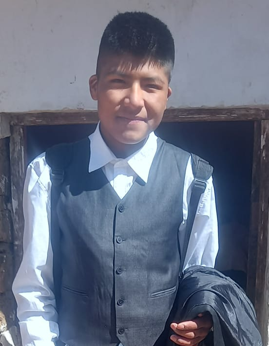 LUIS MARIO GUARACHI FABIAN