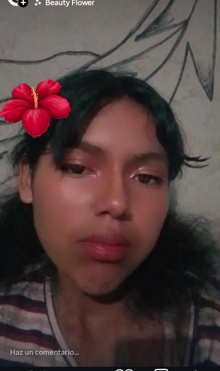 JUDITH CAMILA PIMENTEL
