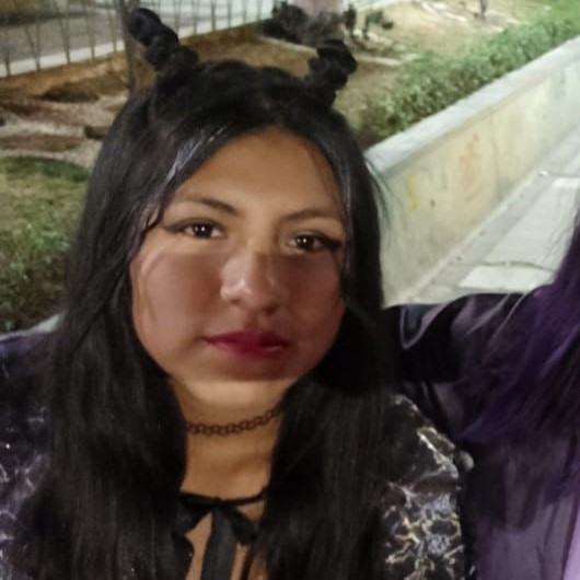 REYNA QUISPE SIRPA