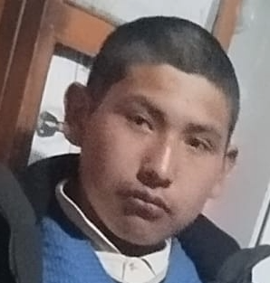 LUIS GABRIEL MAMANI FLORES