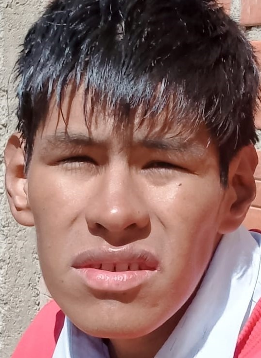 MICHAEL MIGUEL YARARI MAMANI