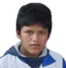 SAMUEL MARTINEZ TICONA