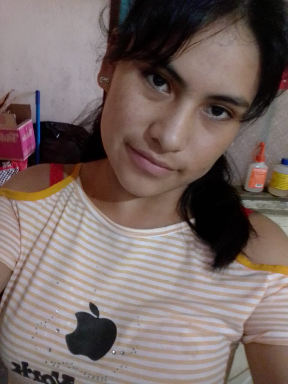 ROCELINA MENESES LOPEZ