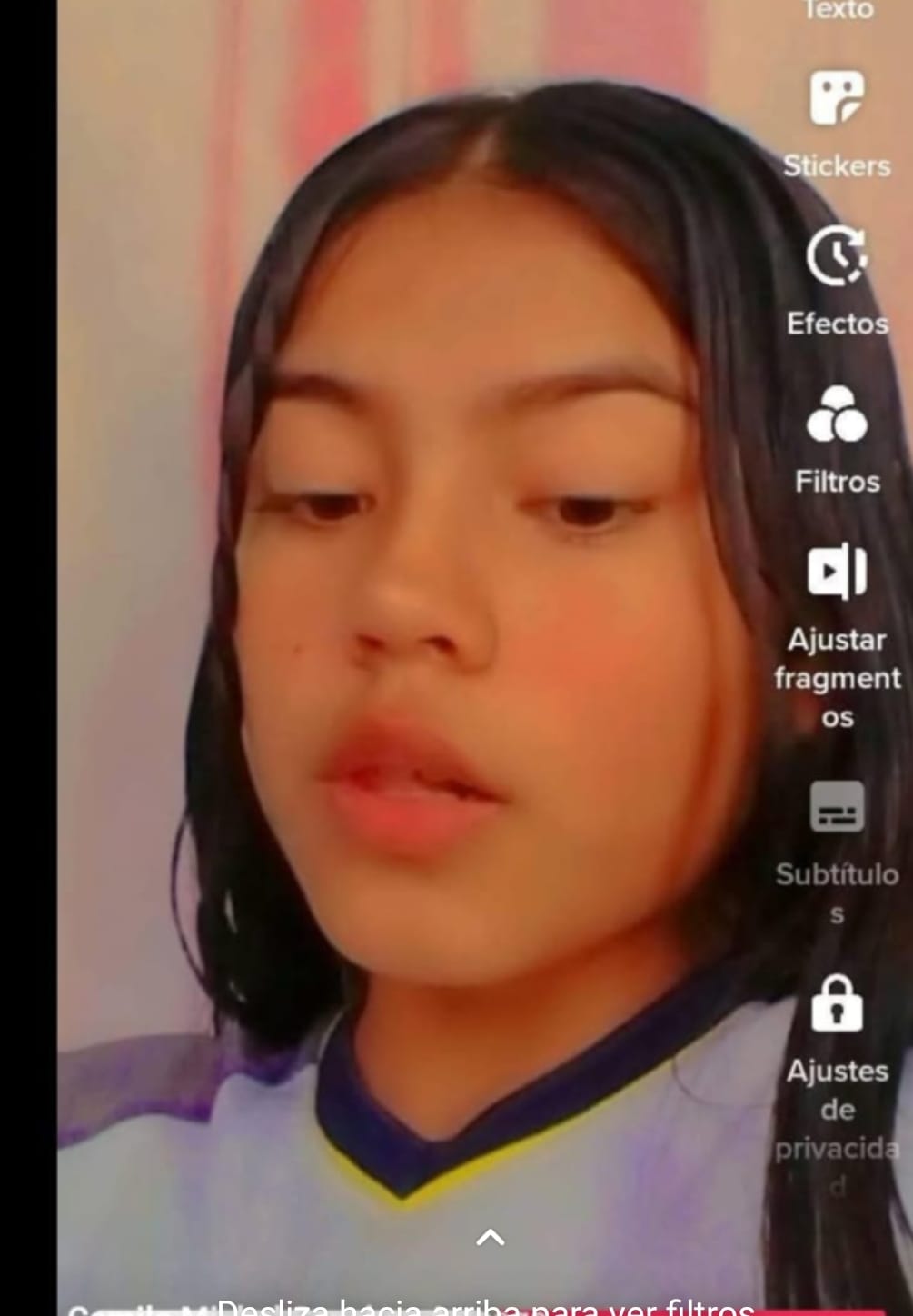 CAMILA MICHEL SANCHEZ ARTEAGA