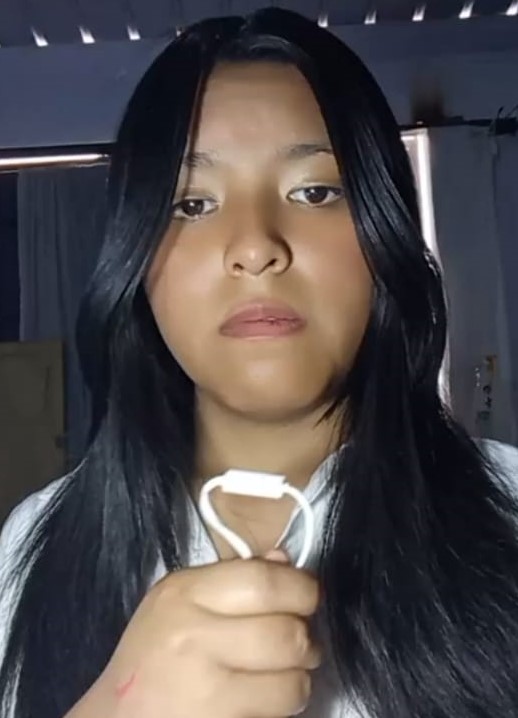 Viana Dominic Fernandez Mamani