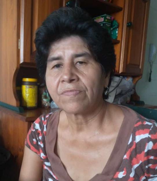 ROSA FLORA VILLARROEL OSINAGA
