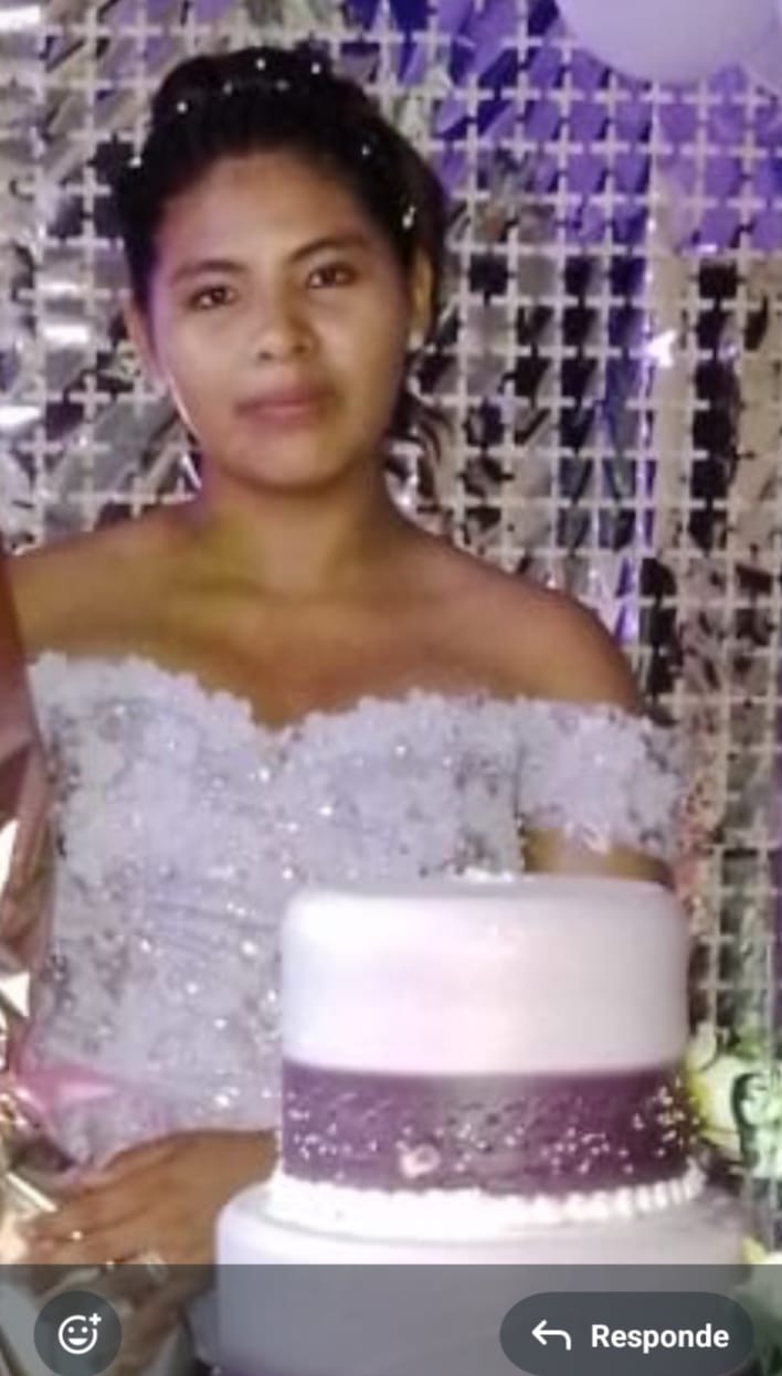 ALIMEN LINETH MAMANI MOYA