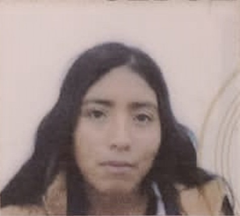 LIDIA FELIPE MAMANI